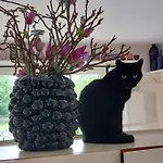 Het Gouden Boltje 데쿠크