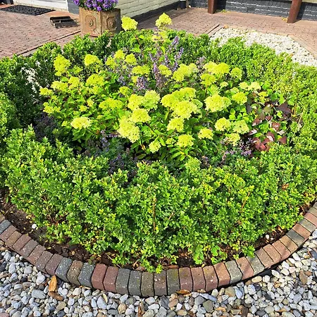 Het Gouden Boltje 2*