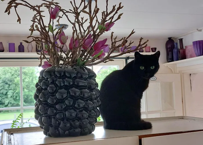 Het Gouden Boltje De Koog (Texel)