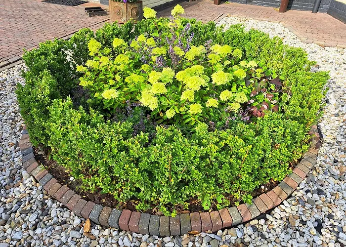 Het Gouden Boltje 2*