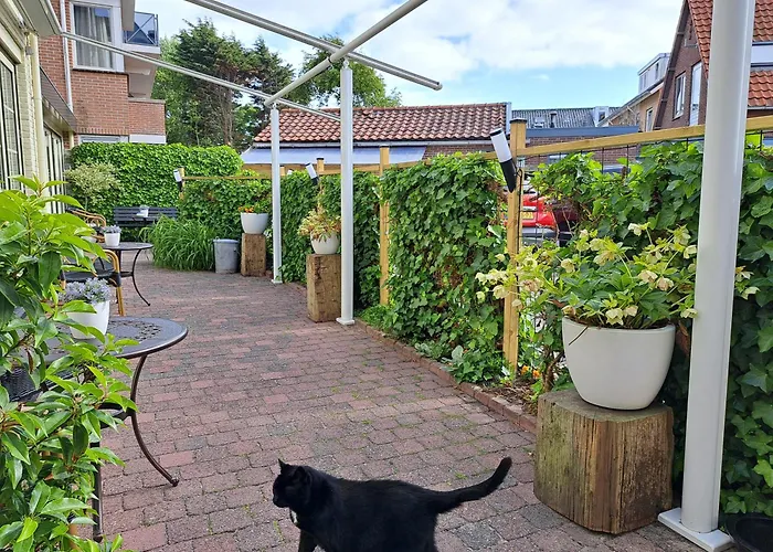 Hotel Het Gouden Boltje 2*