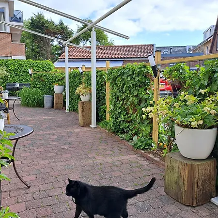 Hotel Het Gouden Boltje 2*